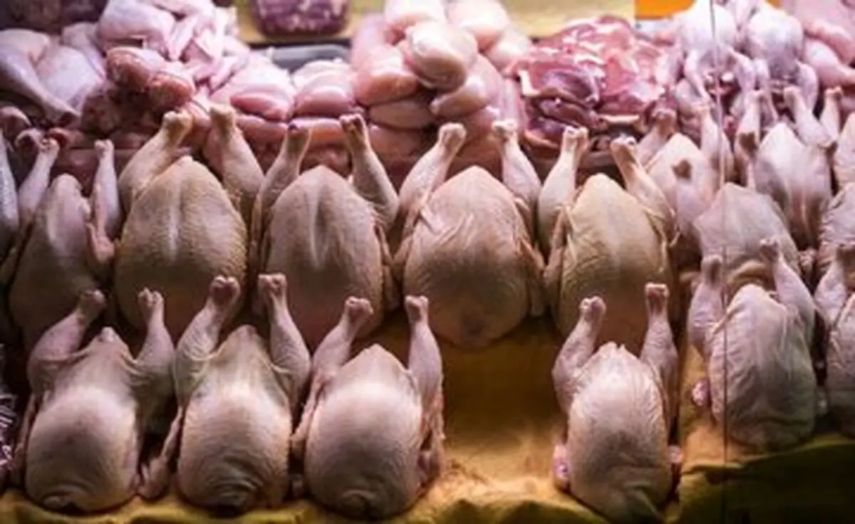 قیمت مرغ و تخم‌مرغ امروز یکشنبه ۶ اردیبهشت ۱۴۰۵