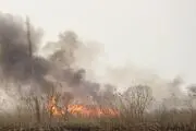 آتش‌سوزی محدوده تالاب انزلی