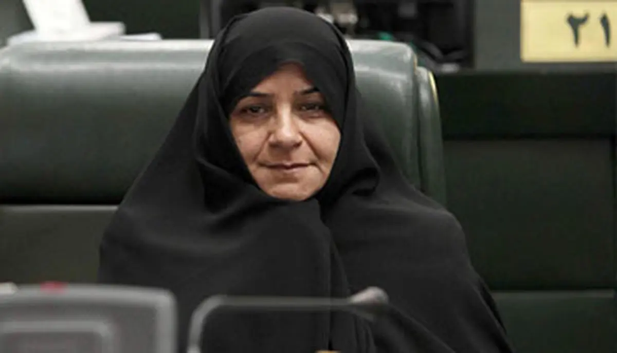 سازمان محیط زیست در سال گذشته کارنامه موفقی نداشت/ باد و باران عامل پاکی هوا
