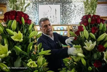 گل آرایی ضریح مطهر حضرت معصومه(س)/ گزارش تصویری 