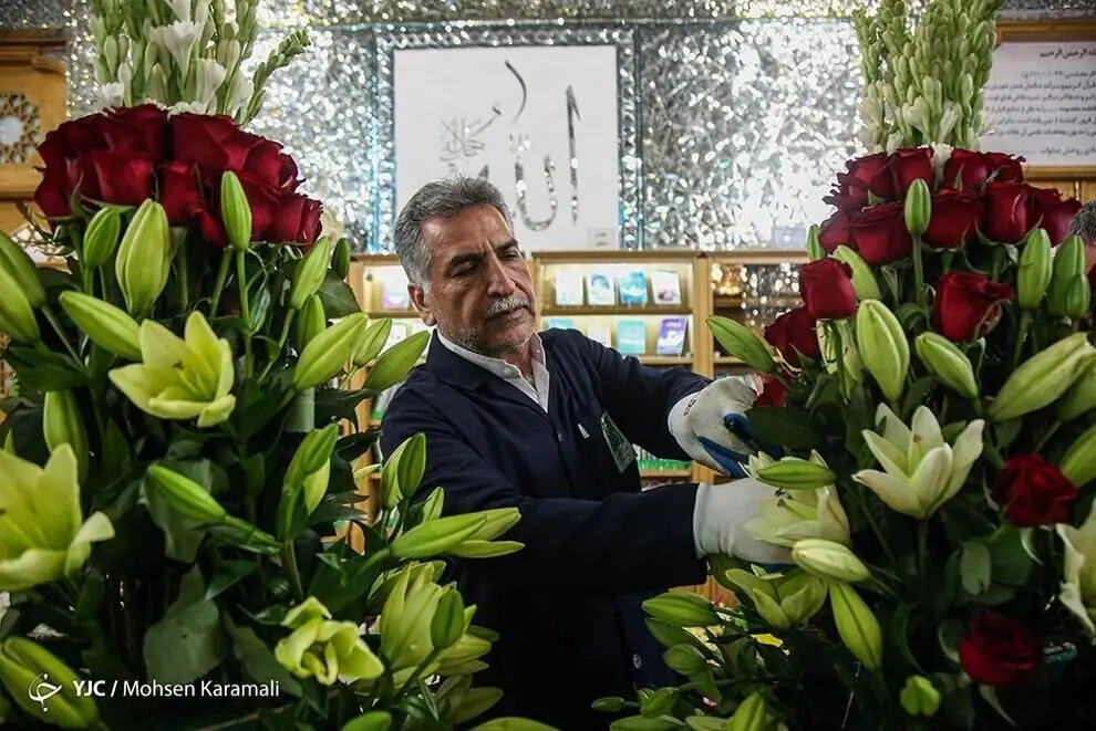گل آرایی ضریح مطهر حضرت معصومه(س)/ گزارش تصویری 