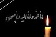امام جمعه سبزوار دار فانی را وداع گفت 