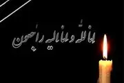 امام جمعه سبزوار دار فانی را وداع گفت 