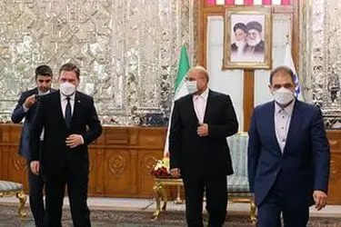 دیدار وزیر امور خارجه صربستان با رئیس مجلس