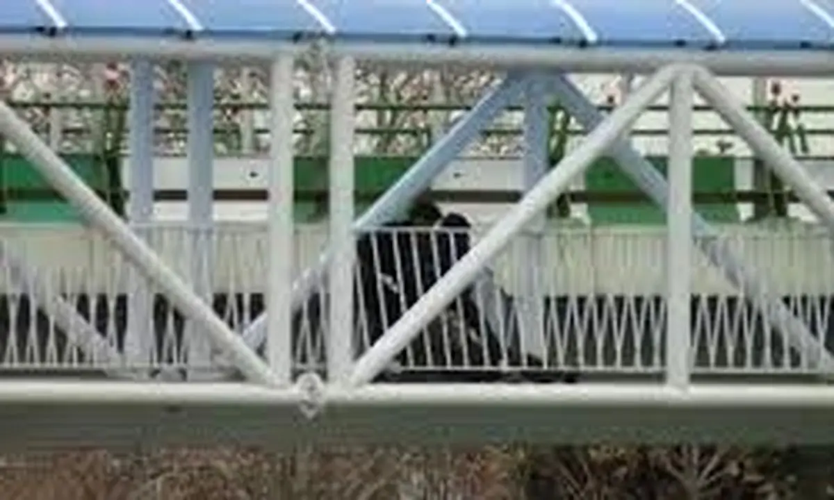 پل عابر پیاده میدان انقلاب غیب شد