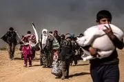 وقتی داعش، زنان را مجبور به بریدن سَر می‌کند