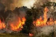 جزئیاتی از امداد رسانی به آسیب دیدگان طوفان «شاهین»
