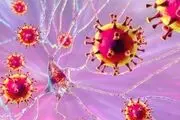 کووید ۱۹ خطر ابتلاء به اختلالات عصبی را افزایش می‌دهد
