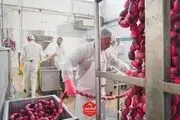 گوشتیران رکورد تولید را شکست