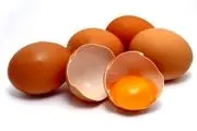 قیمت تخم مرغ در میادین میوه و تره بار چقدر است؟