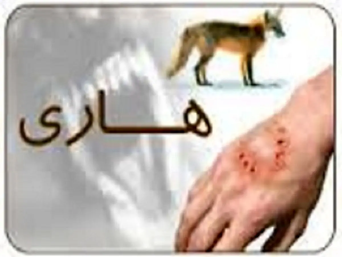 انجام 85 مورد واکسیناسیون برای کنترل بیماری هاری در قوچان