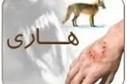 انجام 85 مورد واکسیناسیون برای کنترل بیماری هاری در قوچان