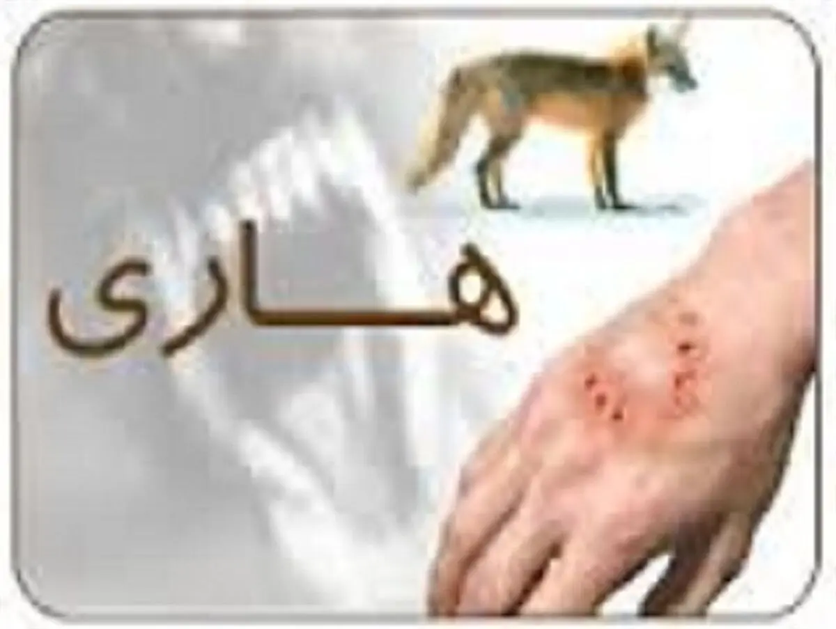 انجام 85 مورد واکسیناسیون برای کنترل بیماری هاری در قوچان