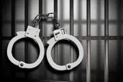 دستگیری شرور سابقه دار مست در محله هفت چنار