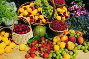افزایش ۳۰ درصدی تولید محصولات باغی