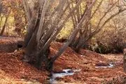 طبیعت بکر اطراف مشهد

