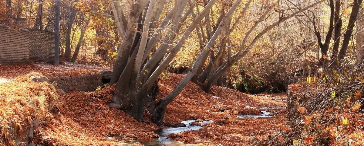 طبیعت بکر اطراف مشهد
