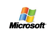 Microsoft: Loss shows disruptive web power