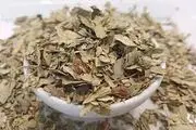 برگ سنا، تقویت کننده دستگاه گوارش