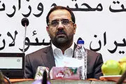 وزیر ورزش و جوانان بعد از المپیک به مجلس می‌آید