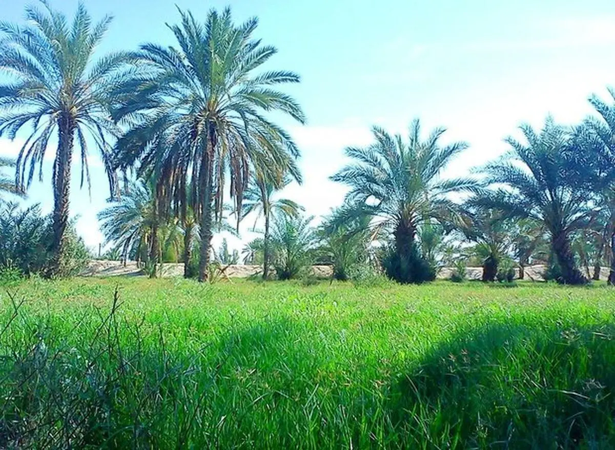بحران آب در جهرم سایه افکند
