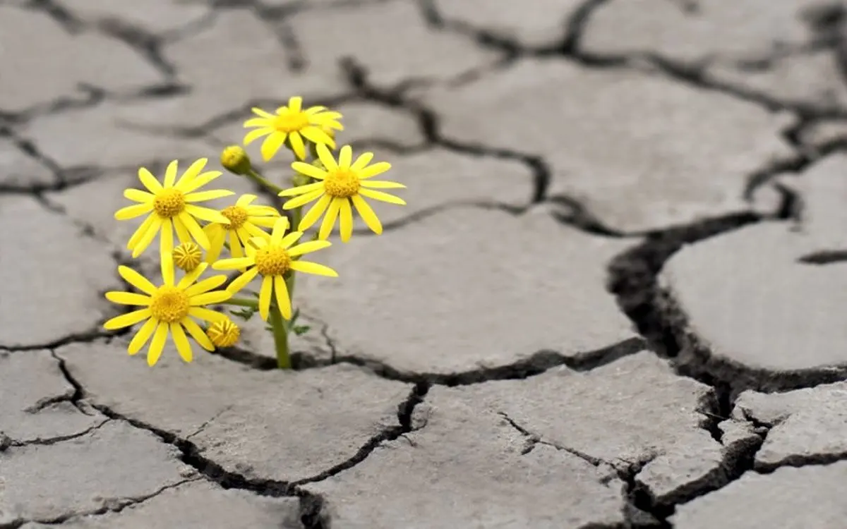 چرا کسانی که در آخر الزمان زندگی میکنند روزیشان تنگ است؟