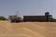 سازمان استاندارد وجود 
