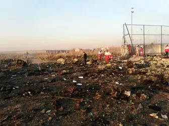 اسامی 50 نفر از شهدای حادثه سقوط هواپیما اعلام شد
