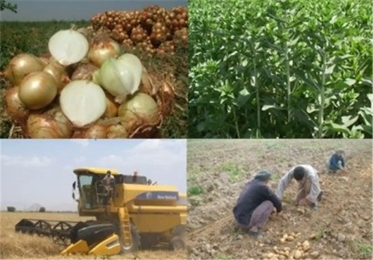 تشکل‌های تعاون روستایی خراسان شمالی بیش از ۱۲۶ میلیارد ریال تسهیلات دریافت کردند 