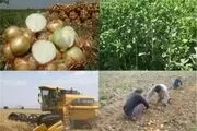 تشکل‌های تعاون روستایی خراسان شمالی بیش از ۱۲۶ میلیارد ریال تسهیلات دریافت کردند 