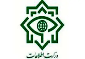 جاعل سایت خبری وزارت اطلاعات دستگیر شد 