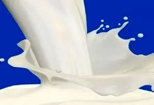 مصرف شیر کم چرب موجب افزایش طول عمر می‌شود