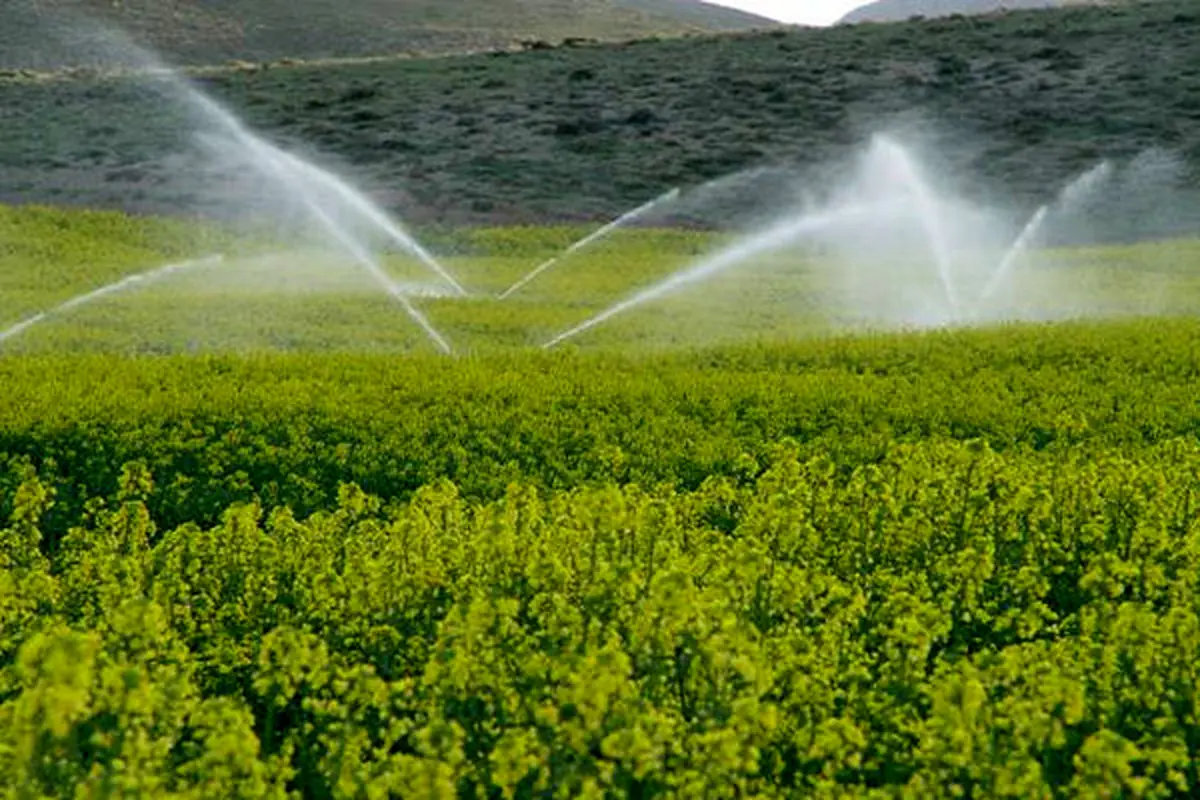 ۱۶۵ طرح آبیاری تحت فشار در زنجان بهره برداری شد