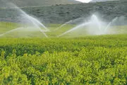 
۱۶۵ طرح آبیاری تحت فشار در زنجان بهره برداری شد