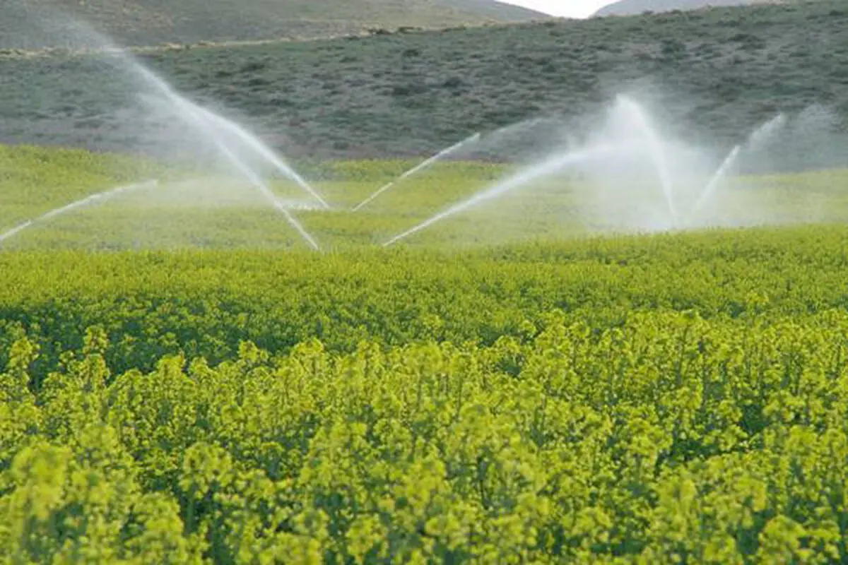 
۱۶۵ طرح آبیاری تحت فشار در زنجان بهره برداری شد