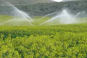 
۱۶۵ طرح آبیاری تحت فشار در زنجان بهره برداری شد