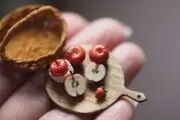 دنیای قرن نوزدهم به صورت مینیاتوری/ تصاویر