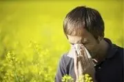 راهکارهای طب سنتی ایرانی برای رهایی از آلرژی‌های بهار
