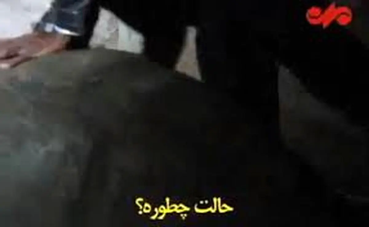شوخی وزیر خارجه با لاکپشت ۳۰۰ ساله / فیلم