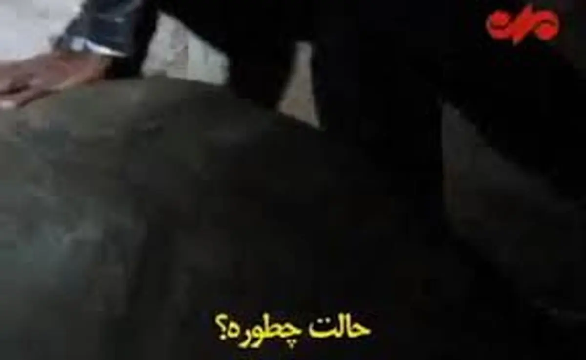 شوخی وزیر خارجه با لاک‌پشت ۳۰۰ ساله / فیلم