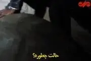 شوخی وزیر خارجه با لاک‌پشت ۳۰۰ ساله / فیلم