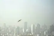 آلودگی هوای تهران/ گزارش تصویری
