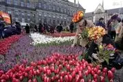 روز ملی لاله‌ها در کشور گلها /گزارش تصویری