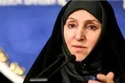 ردخبر دستگیری هسته خرابکاری مرتبط با ایران