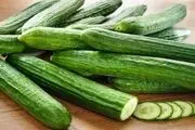 کشت خیار گلخانه‌ای/ عکس