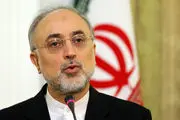 صالحی اظهارات هیلی درباره بازرسی‌ها از تاسیسات ایران را غیرعادی خواند