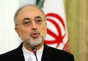 صالحی اظهارات هیلی درباره بازرسی‌ها از تاسیسات ایران را غیرعادی خواند