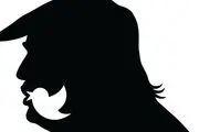 توئیتر پر از مزخرفات شده است
