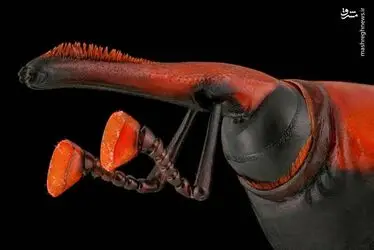 NdXIirJwnoNW