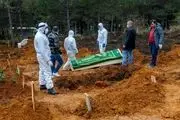 دفن بیماران کرونایی در گورستان‌های دسته‌جمعی/فیلم